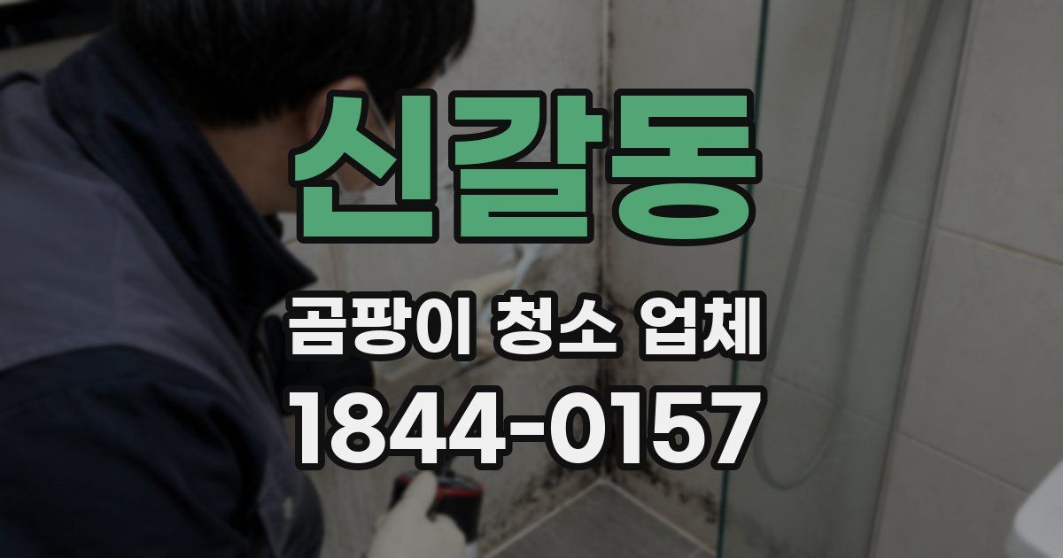 신갈동 곰팡이 청소 업체