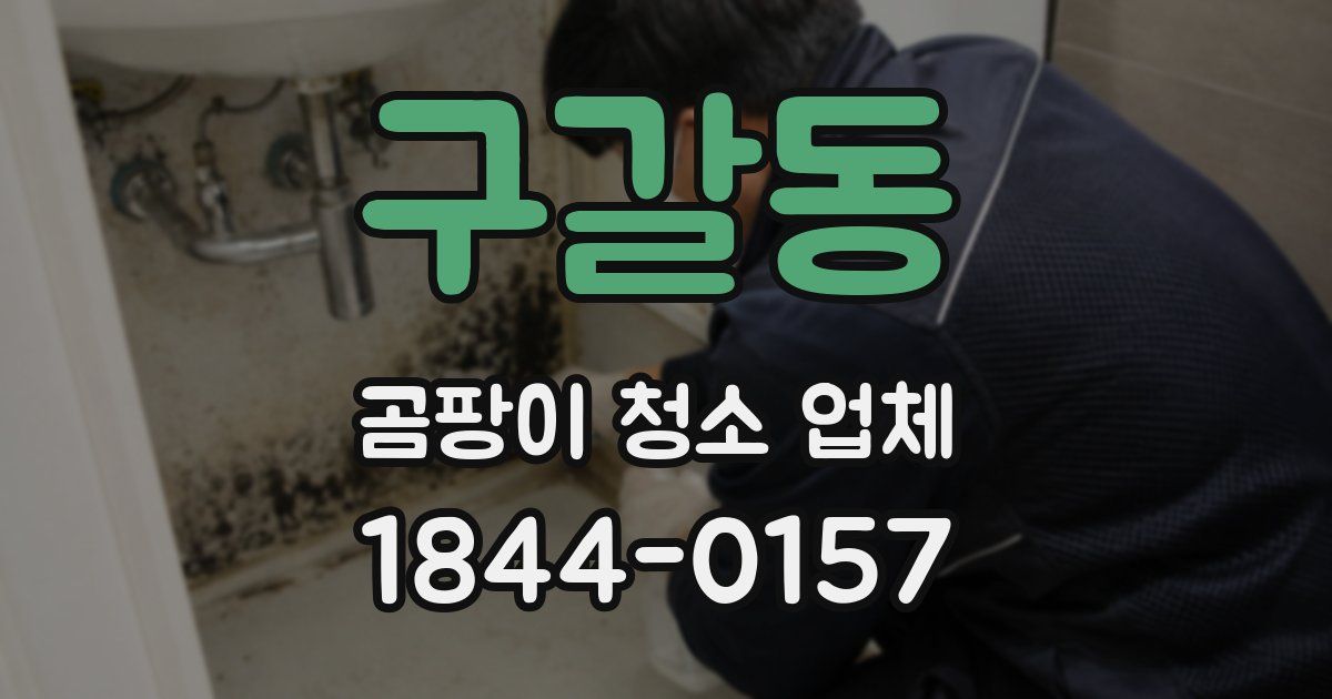 구갈동 곰팡이 청소 업체