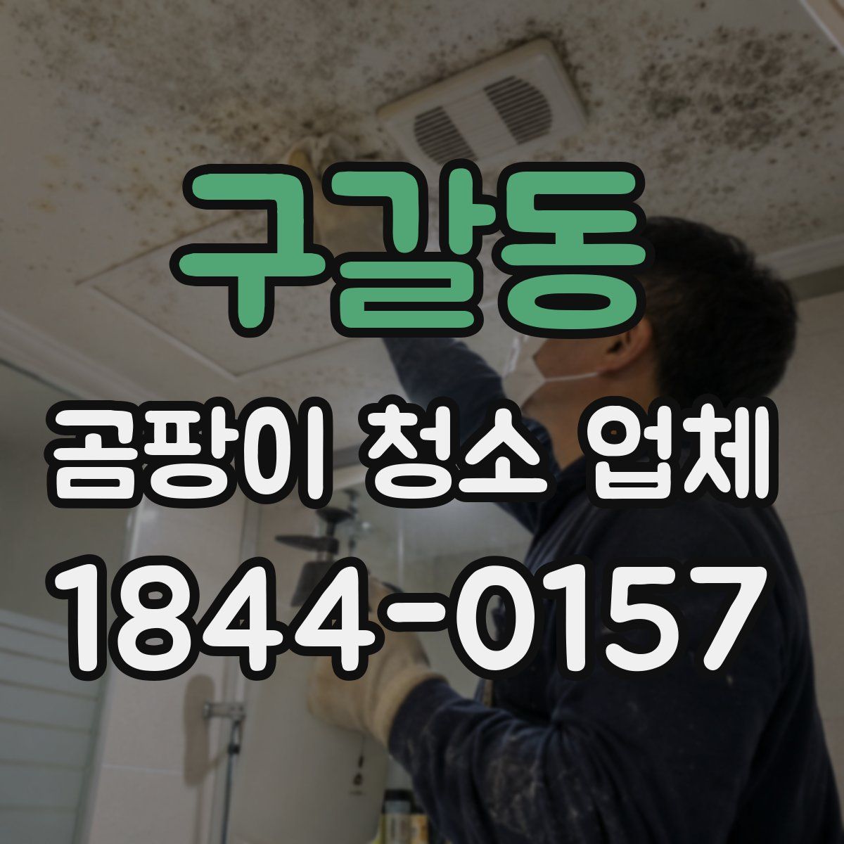 구갈동 곰팡이 청소 업체
