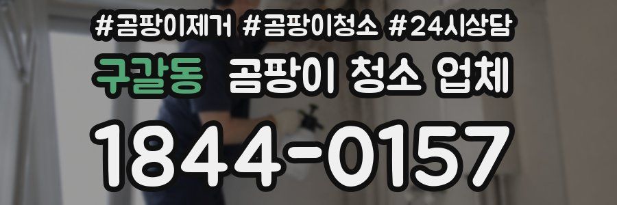 구갈동 곰팡이 청소 업체