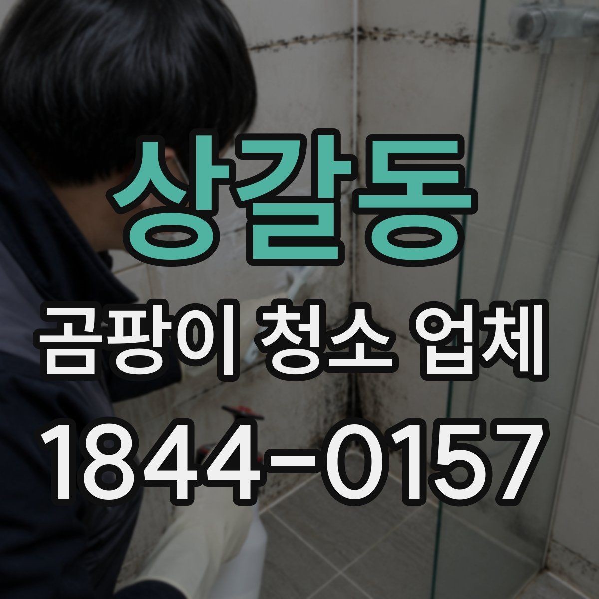 상갈동 곰팡이 청소 업체 거실과 침실의 맞춤 청소 포인트