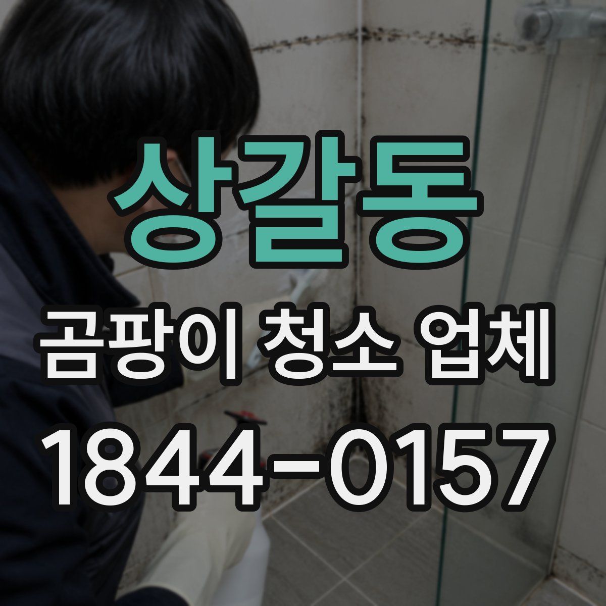 상갈동 곰팡이 청소 업체