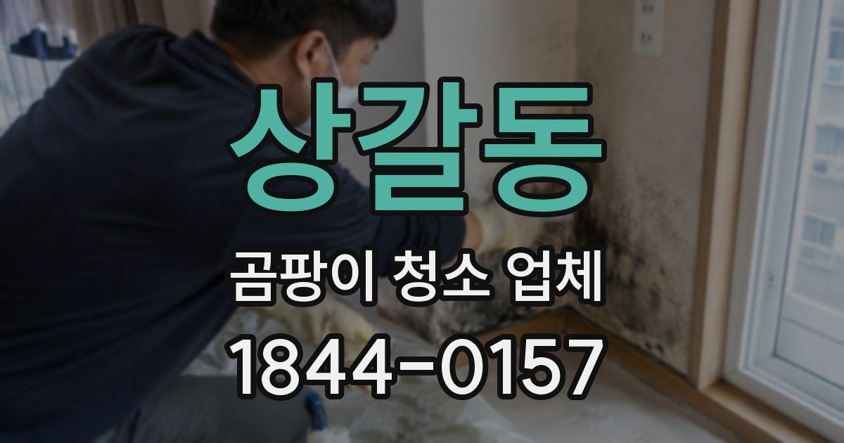 상갈동 곰팡이 청소 업체