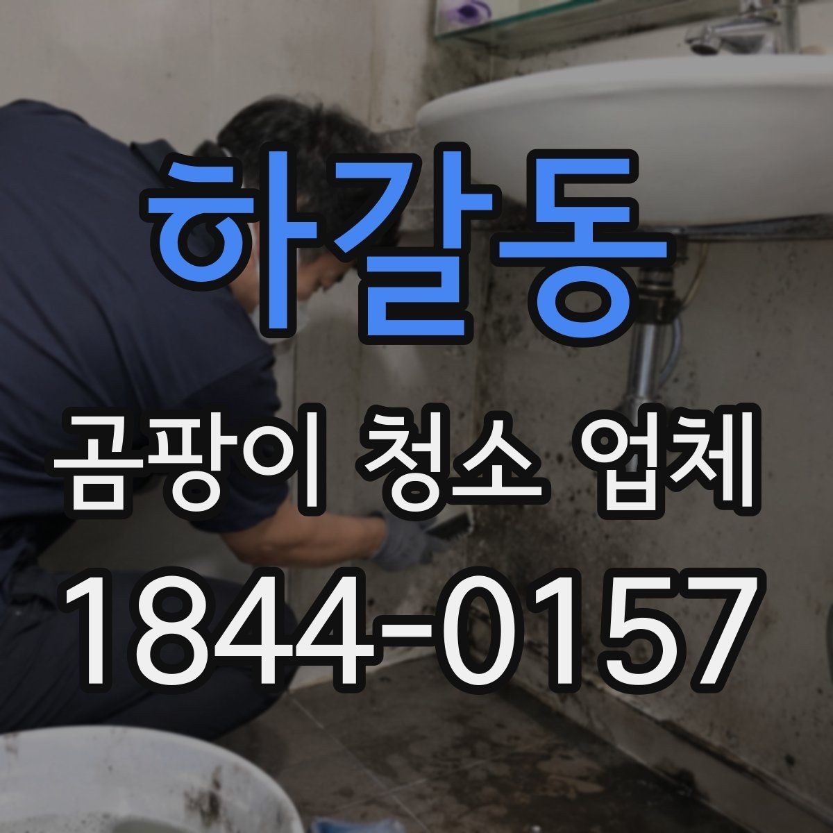 하갈동 곰팡이 청소 업체 침대 아래 숨어 있는 오염까지 보는 이유