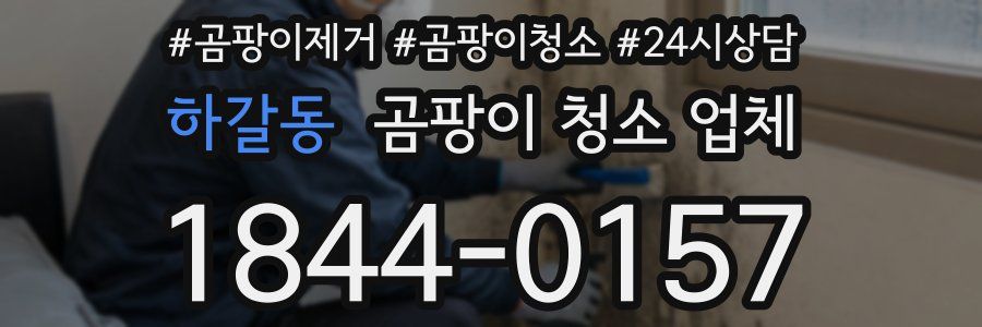 하갈동 곰팡이 청소 업체
