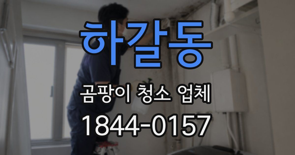 하갈동 곰팡이 청소 업체