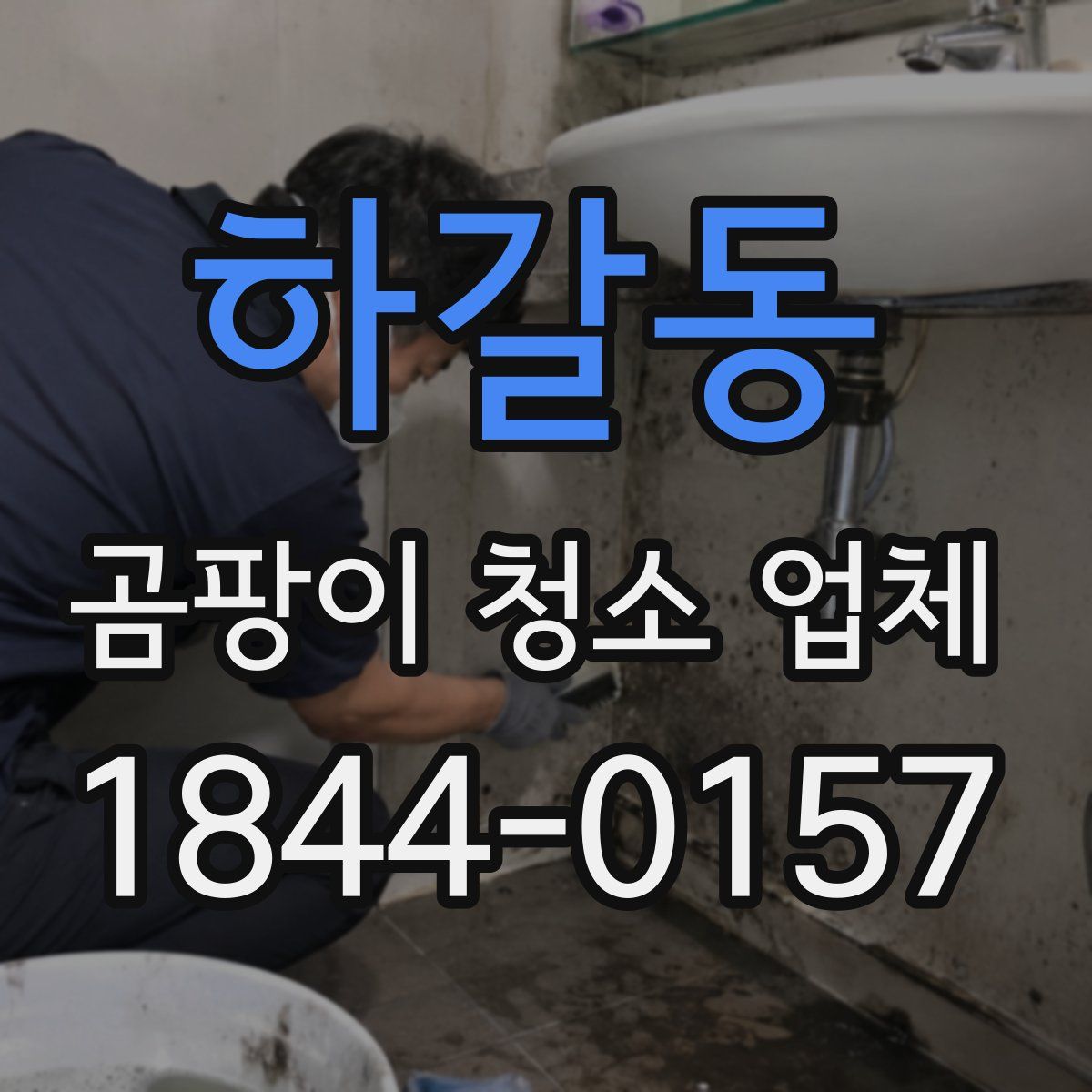 하갈동 곰팡이 청소 업체