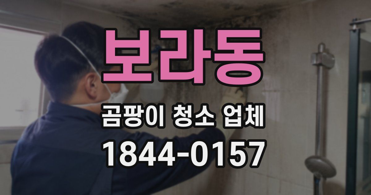 보라동 곰팡이 청소 업체