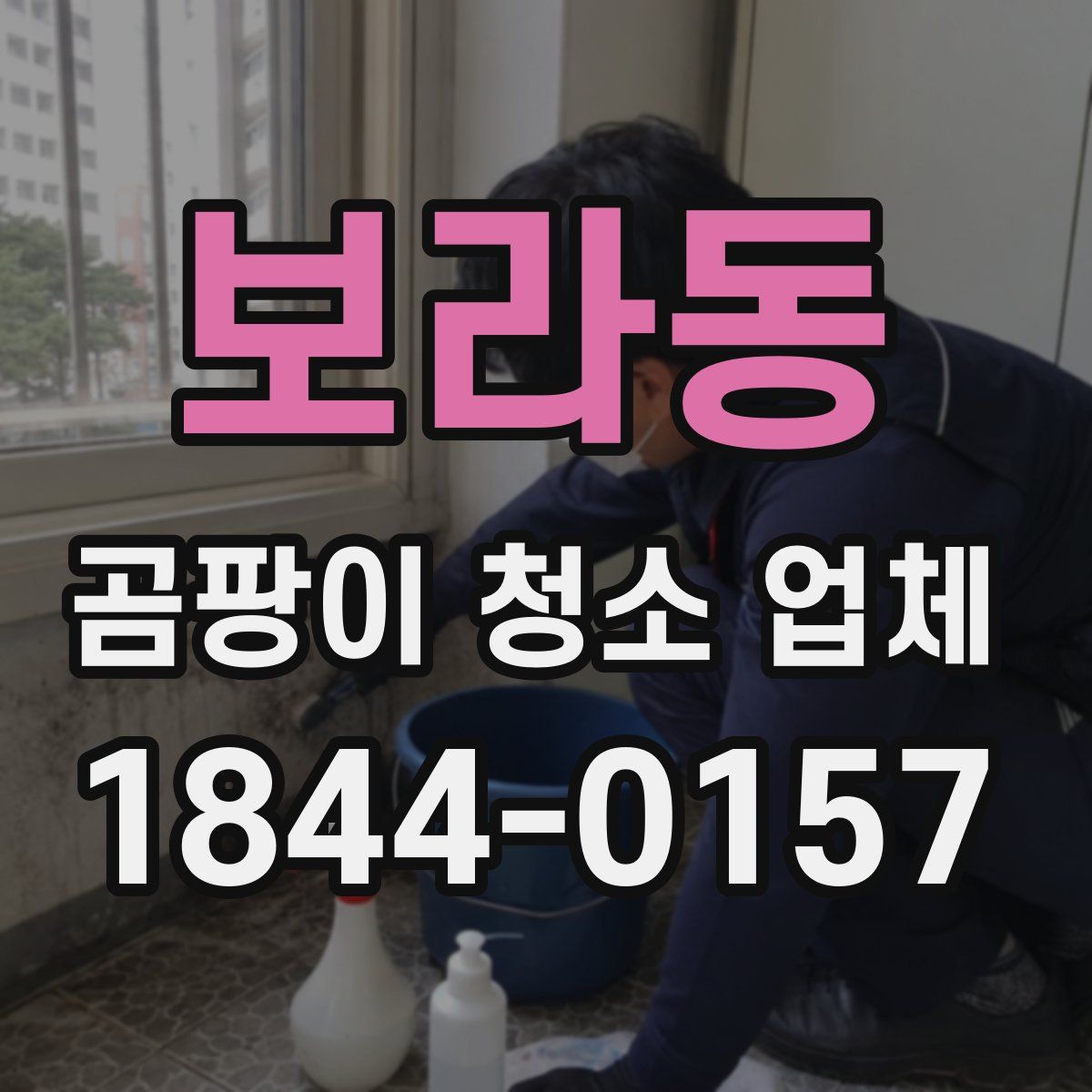 보라동 곰팡이 청소 업체