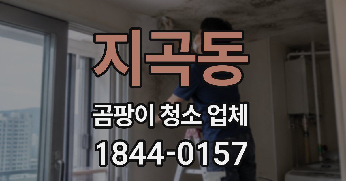 지곡동 곰팡이 청소 업체