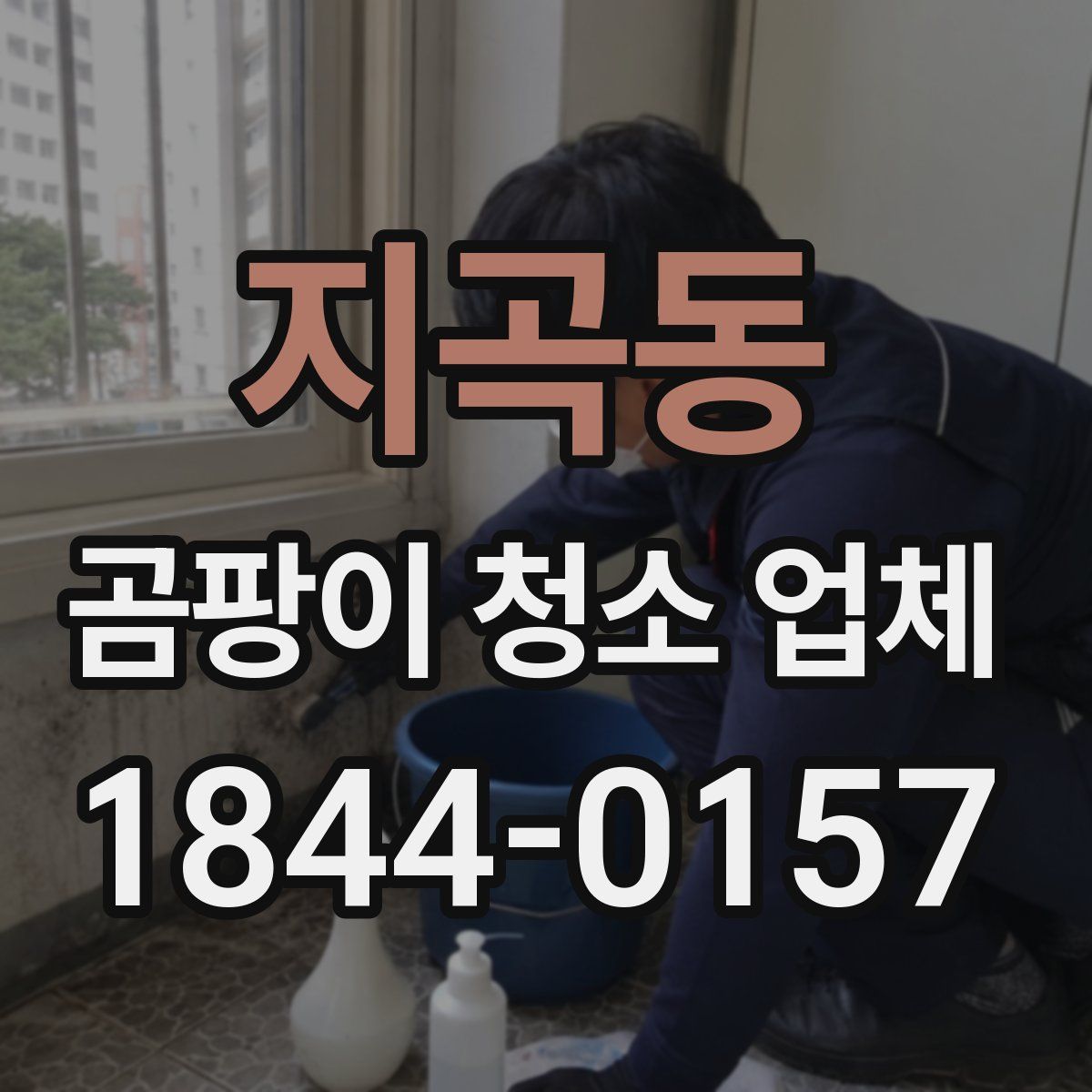 지곡동 곰팡이 청소 업체