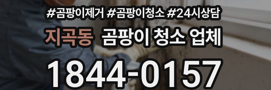 지곡동 곰팡이 청소 업체
