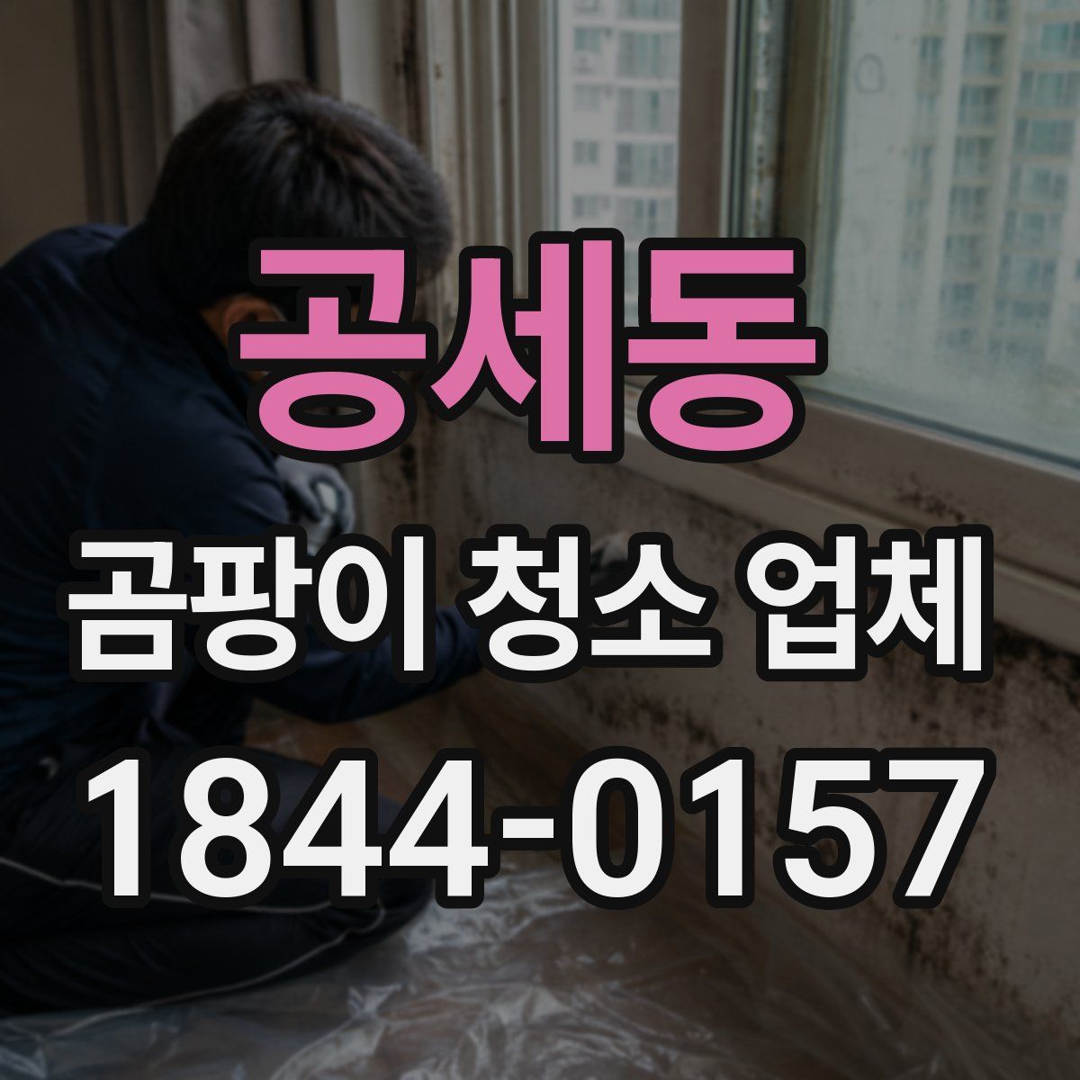 공세동 곰팡이 청소 업체
