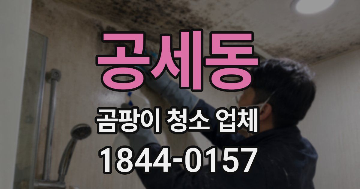 공세동 곰팡이 청소 업체
