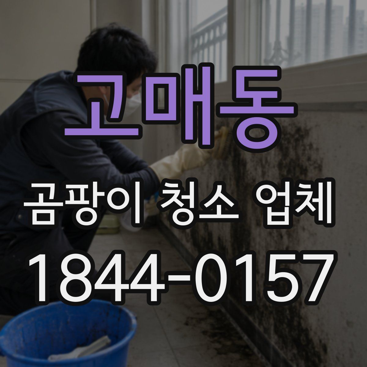 고매동 곰팡이 청소 업체
