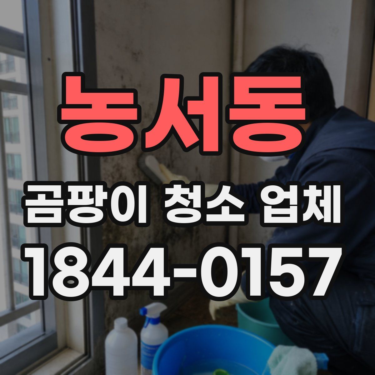 농서동 곰팡이 청소 업체