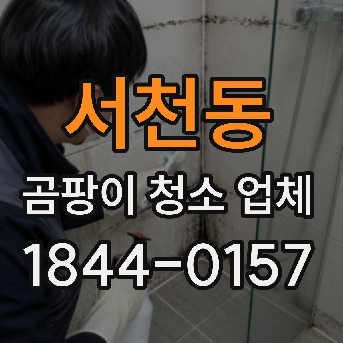 서천동 곰팡이 청소 업체