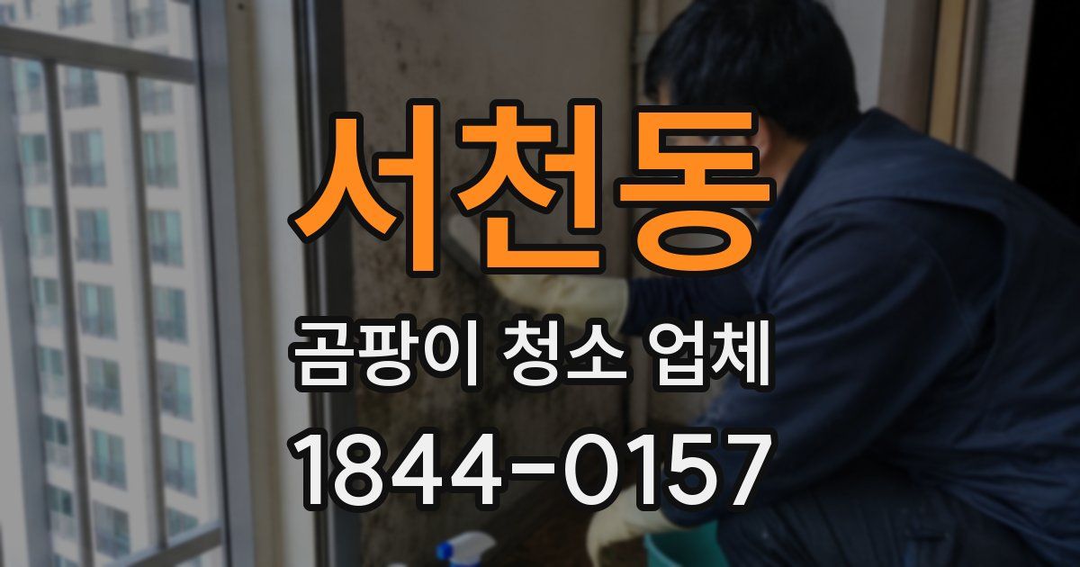 서천동 곰팡이 청소 업체