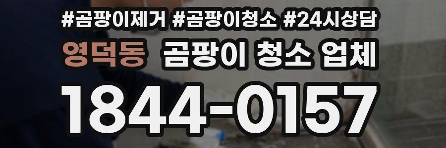 영덕동 곰팡이 청소 업체