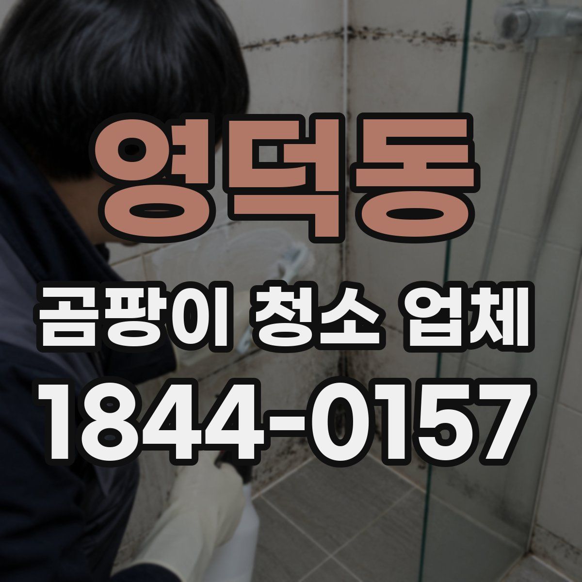 영덕동 곰팡이 청소 업체
