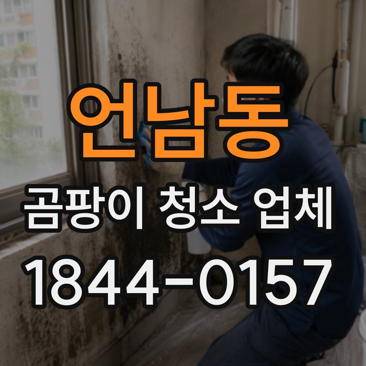언남동 곰팡이 청소 업체
