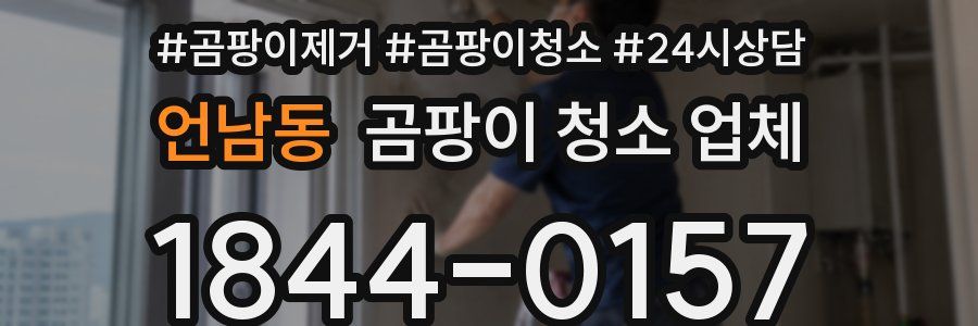 언남동 곰팡이 청소 업체