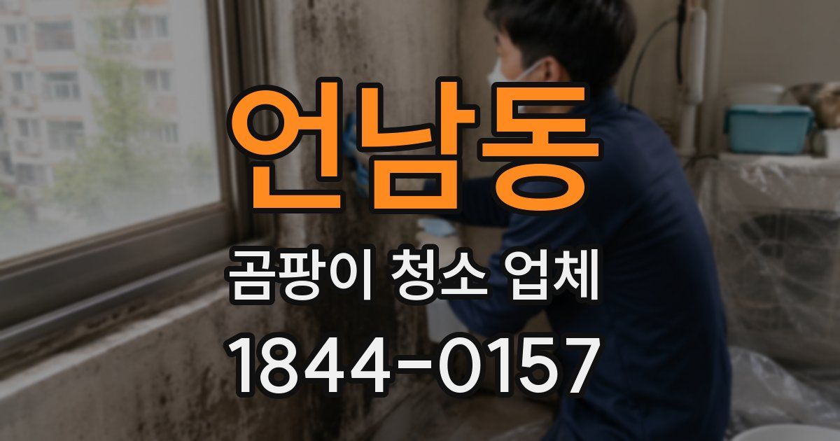 언남동 곰팡이 청소 업체
