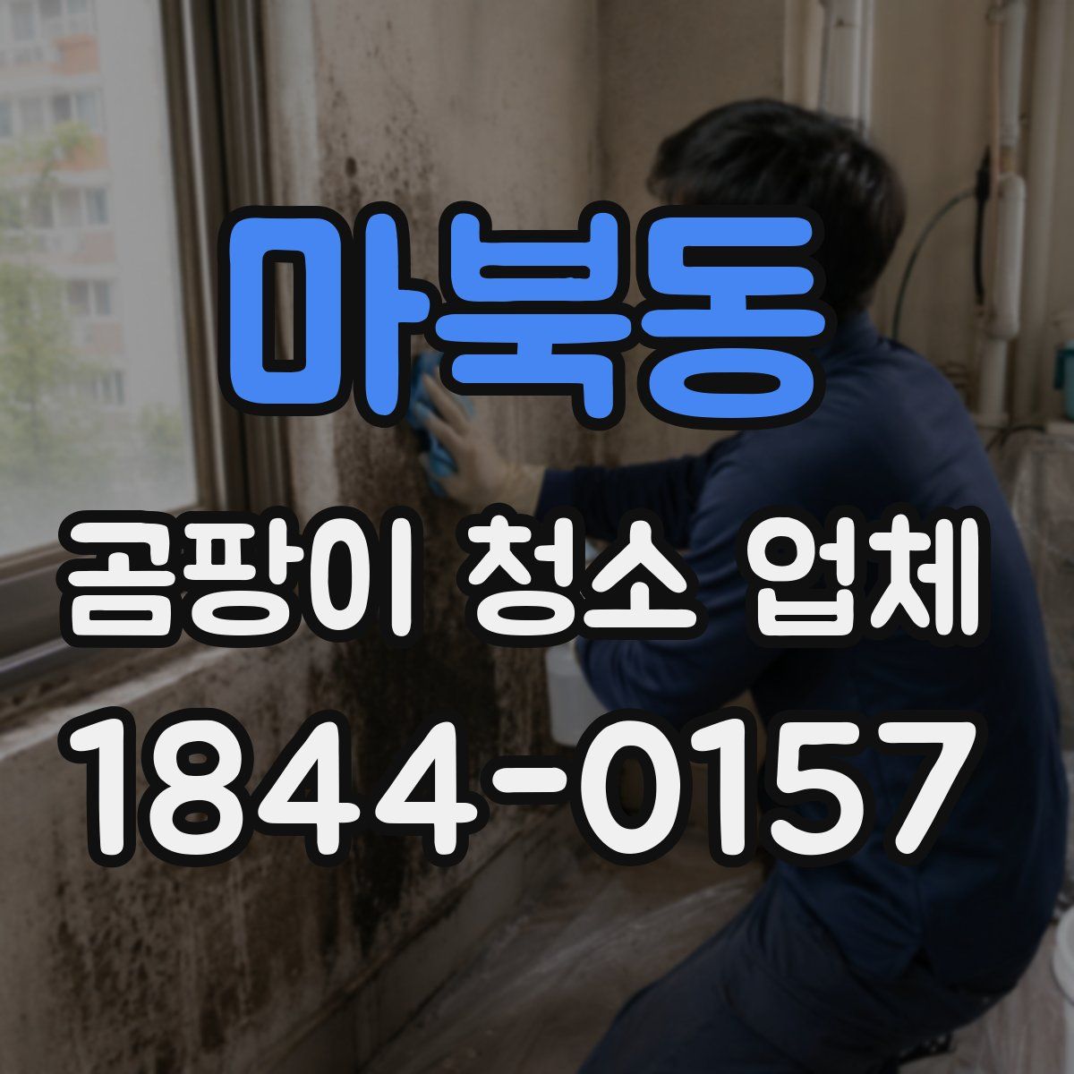 마북동 곰팡이 청소 업체