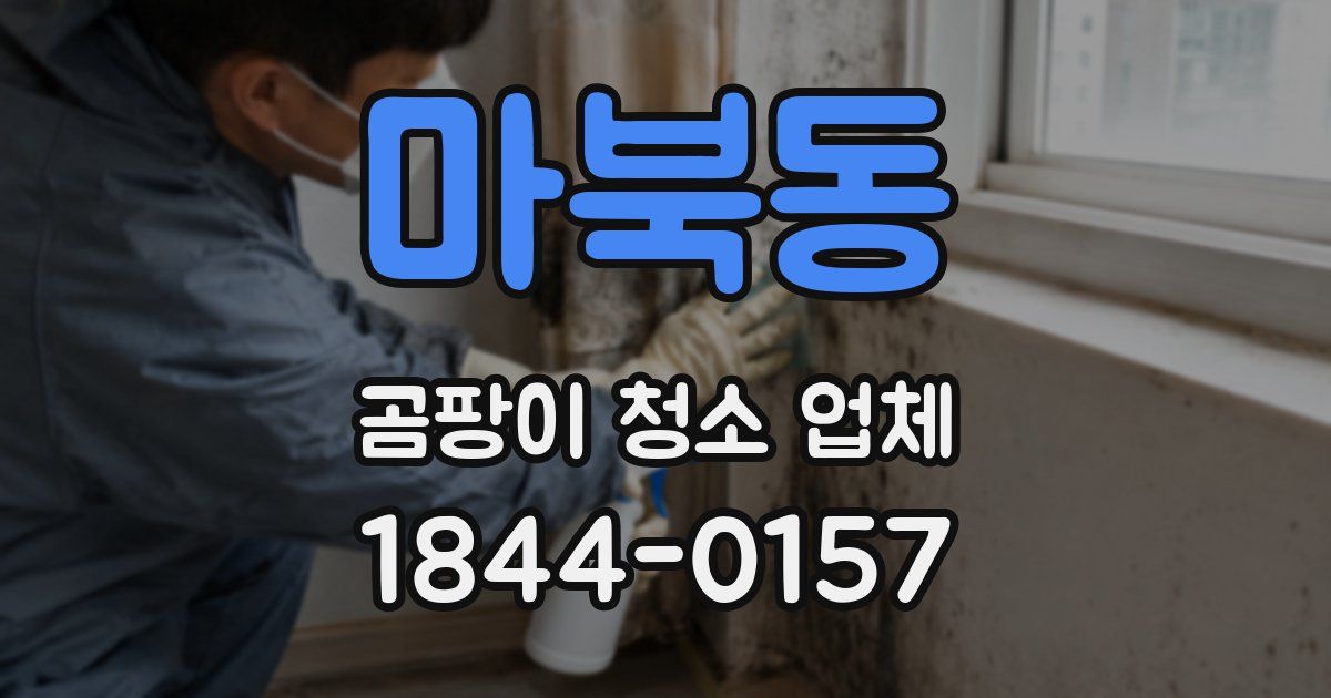 마북동 곰팡이 청소 업체