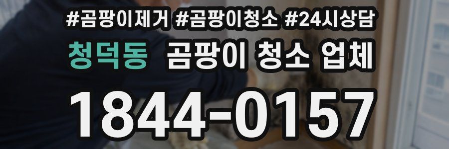 청덕동 곰팡이 청소 업체