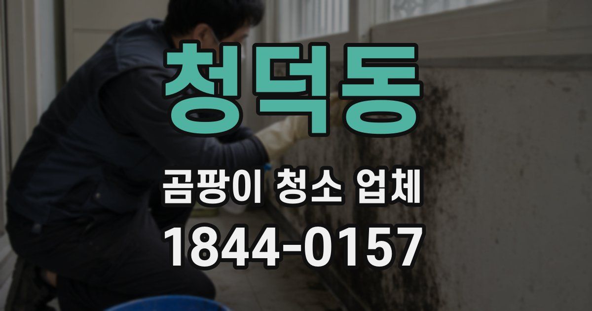 청덕동 곰팡이 청소 업체