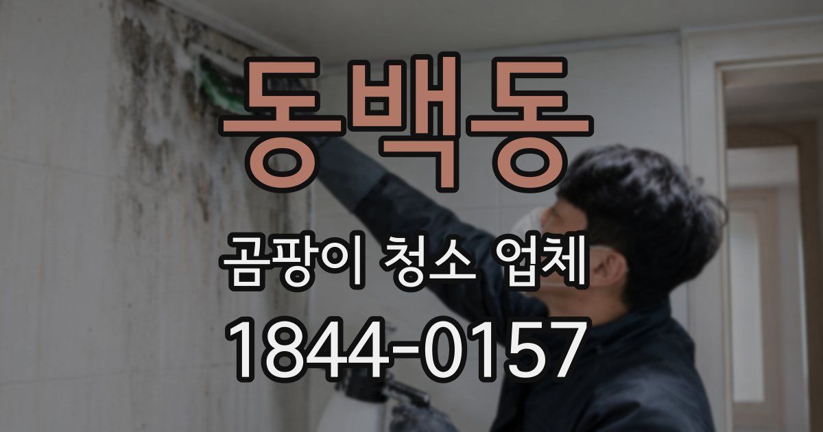 동백동 곰팡이 청소 업체