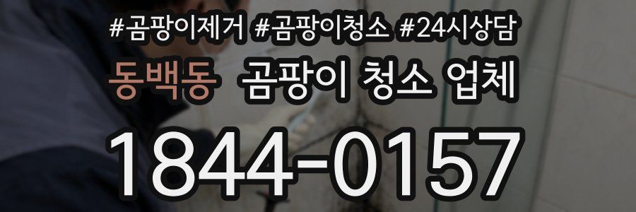 동백동 곰팡이 청소 업체