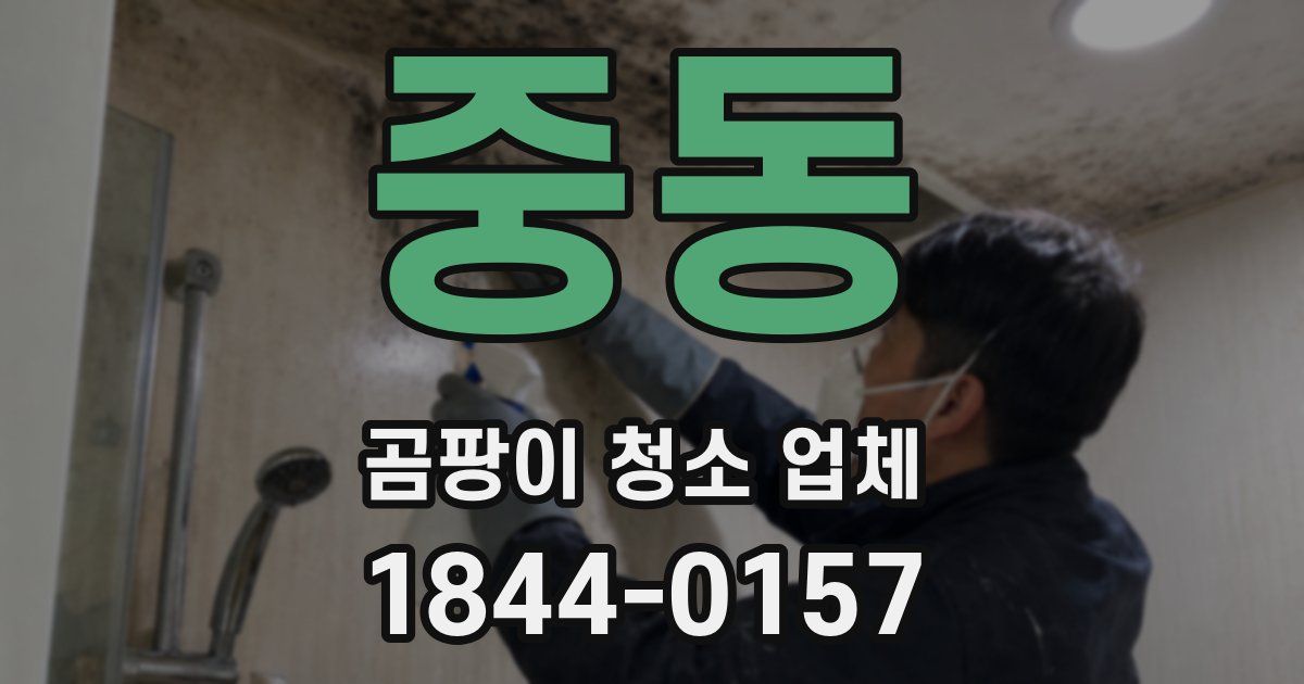 중동 곰팡이 청소 업체