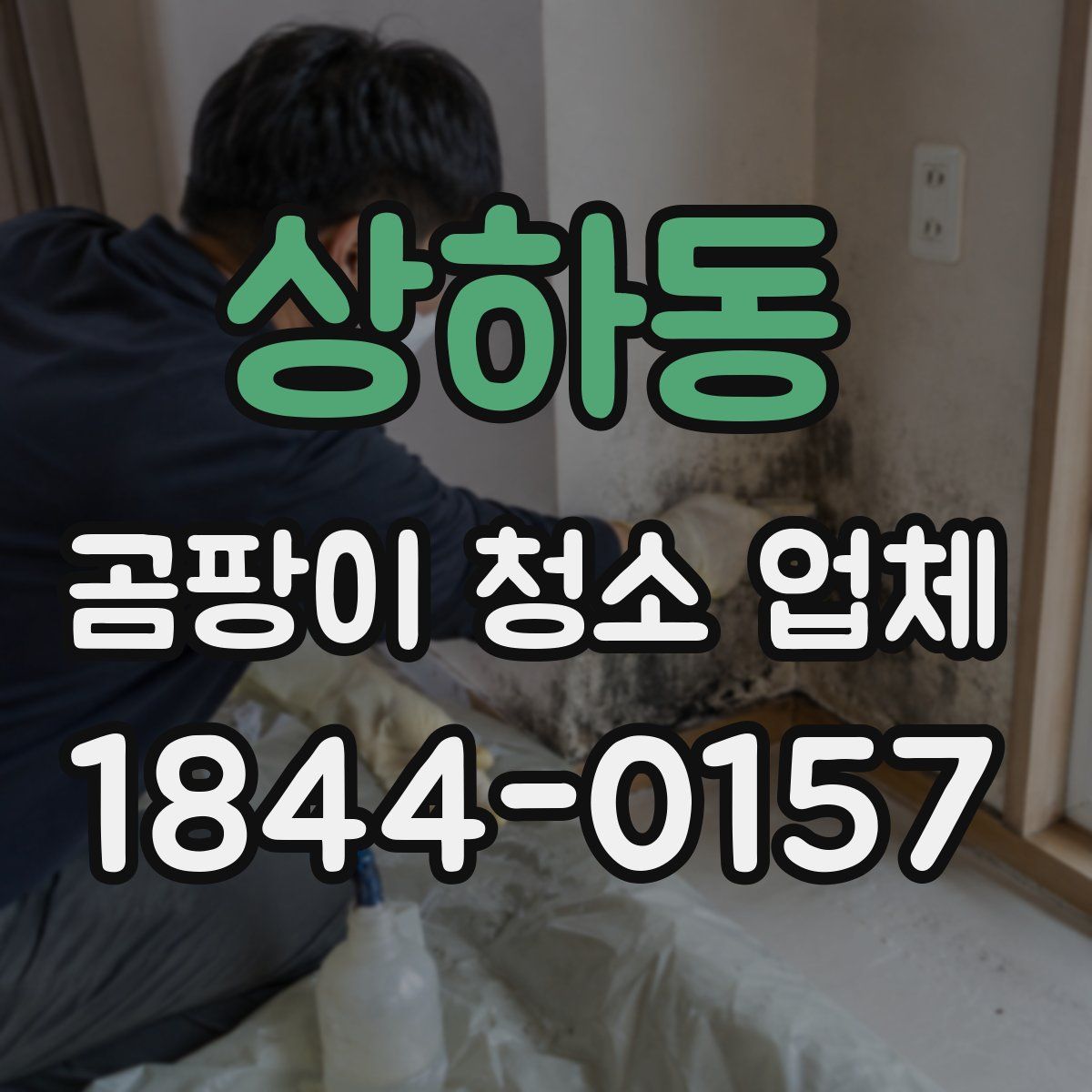 상하동 곰팡이 청소 업체