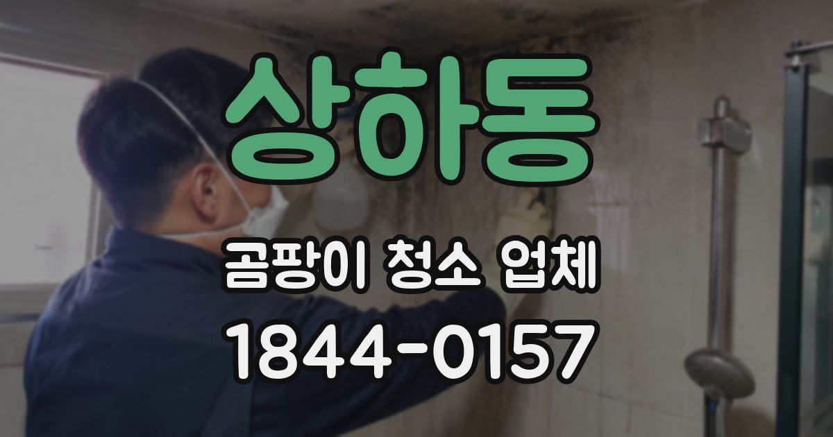 상하동 곰팡이 청소 업체