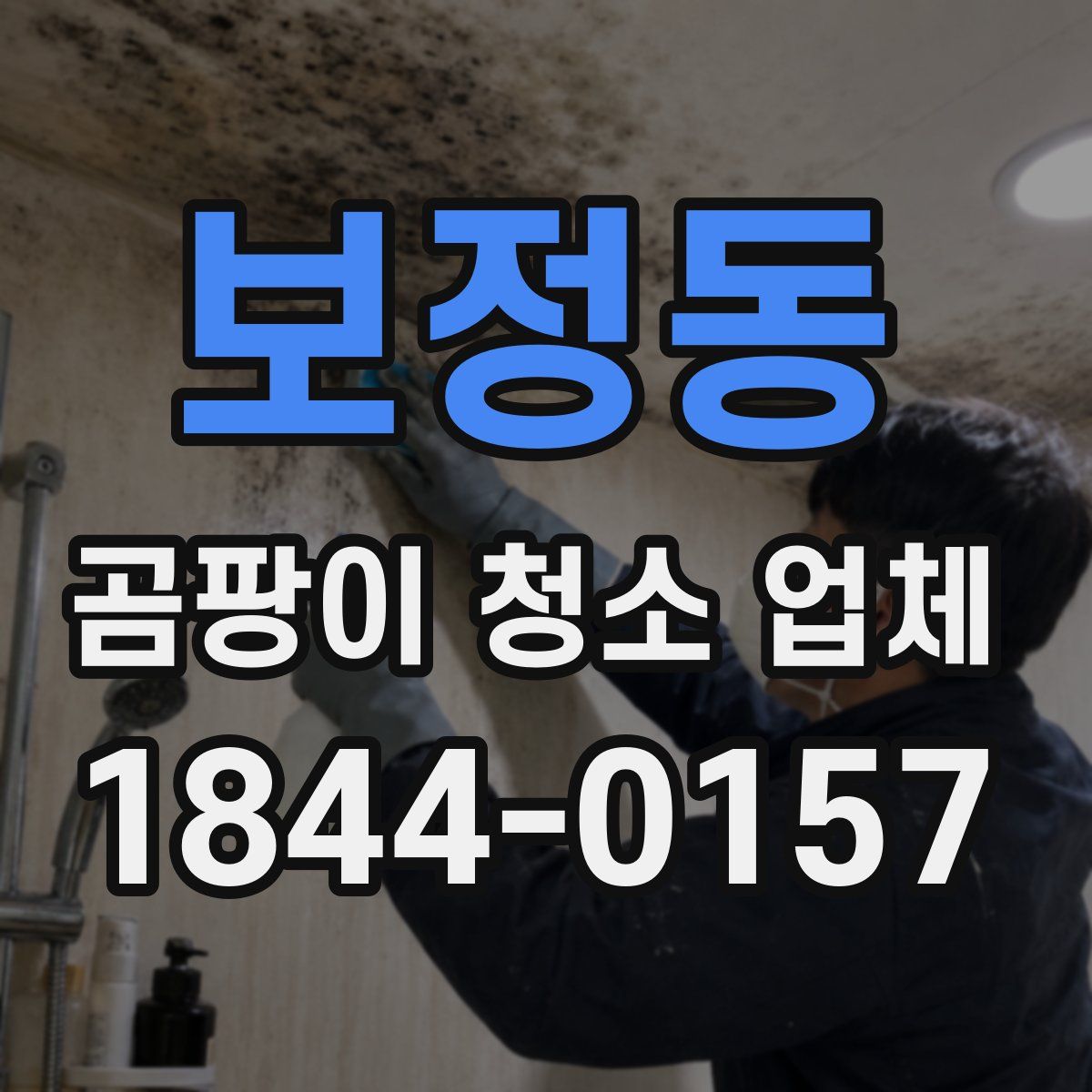 보정동 곰팡이 청소 업체
