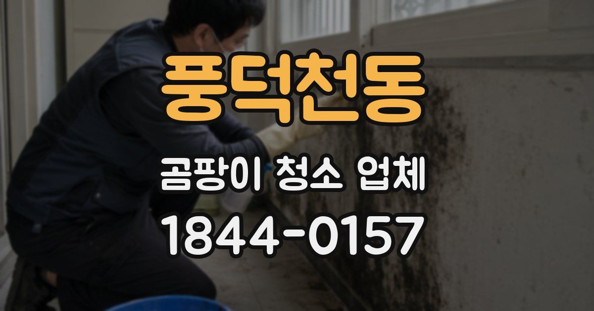 풍덕천동 곰팡이 청소 업체