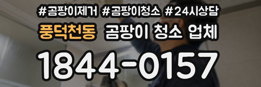 풍덕천동 곰팡이 청소 업체