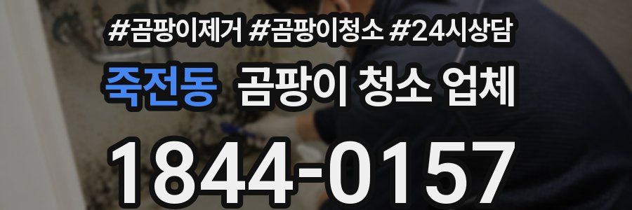 죽전동 곰팡이 청소 업체
