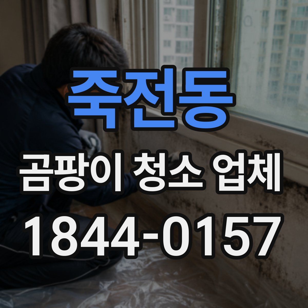 죽전동 곰팡이 청소 업체