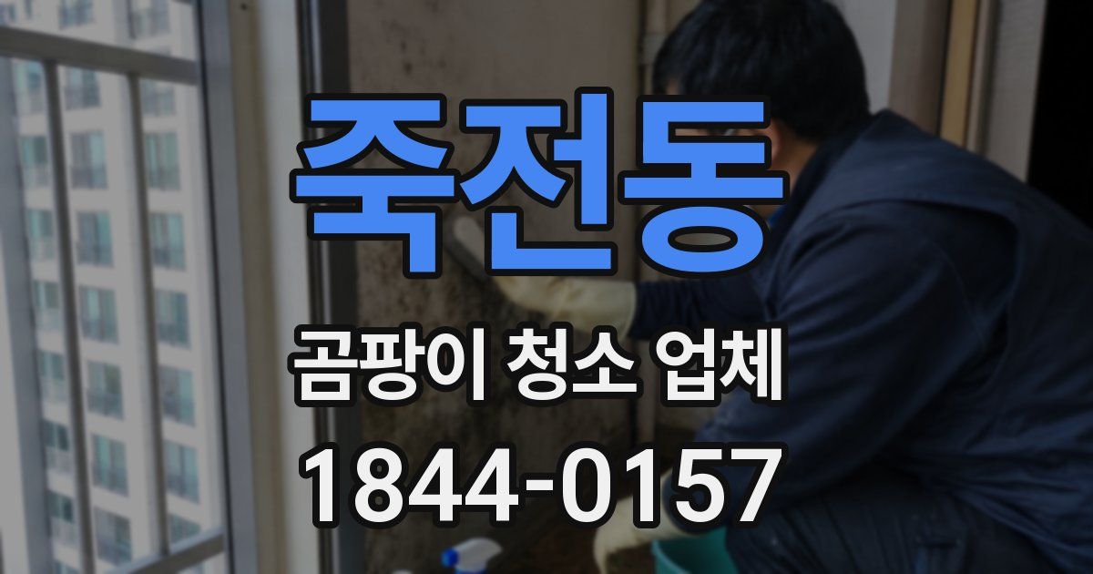 죽전동 곰팡이 청소 업체