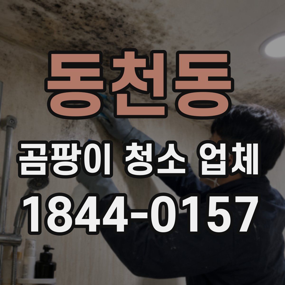 동천동 곰팡이 청소 업체