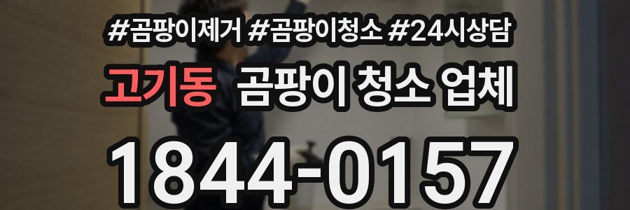 고기동 곰팡이 청소 업체