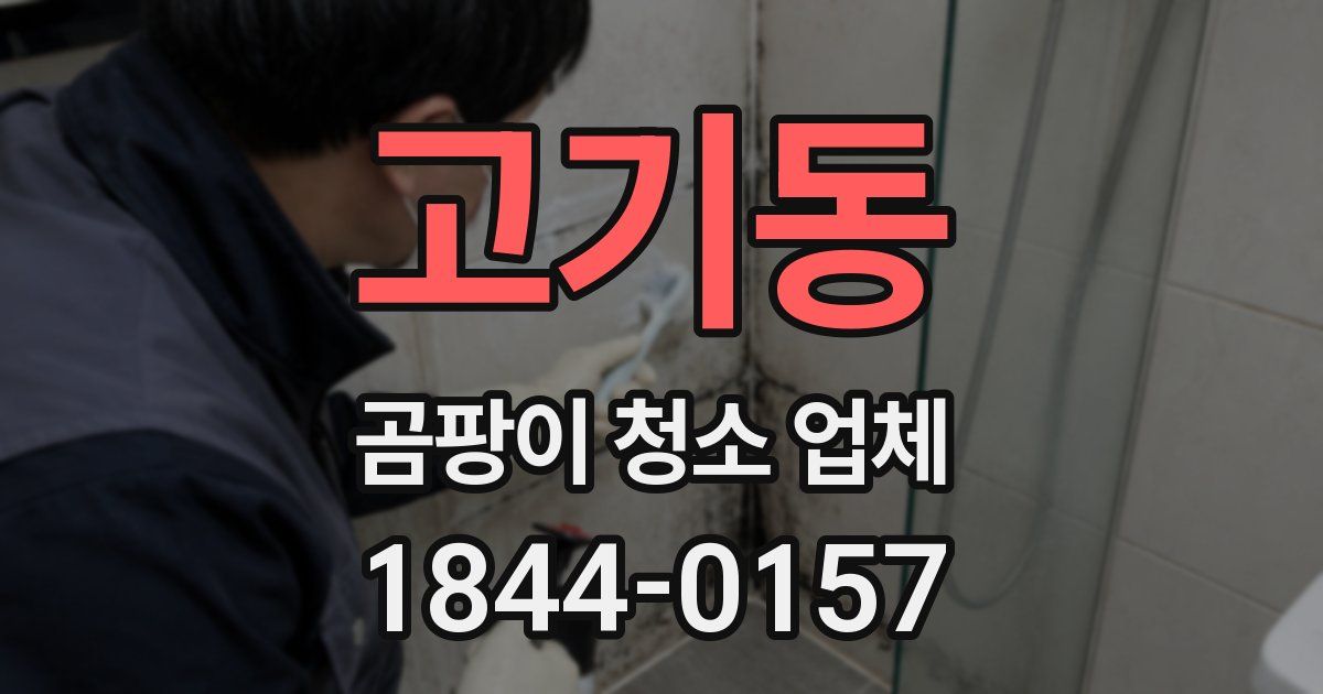 고기동 곰팡이 청소 업체