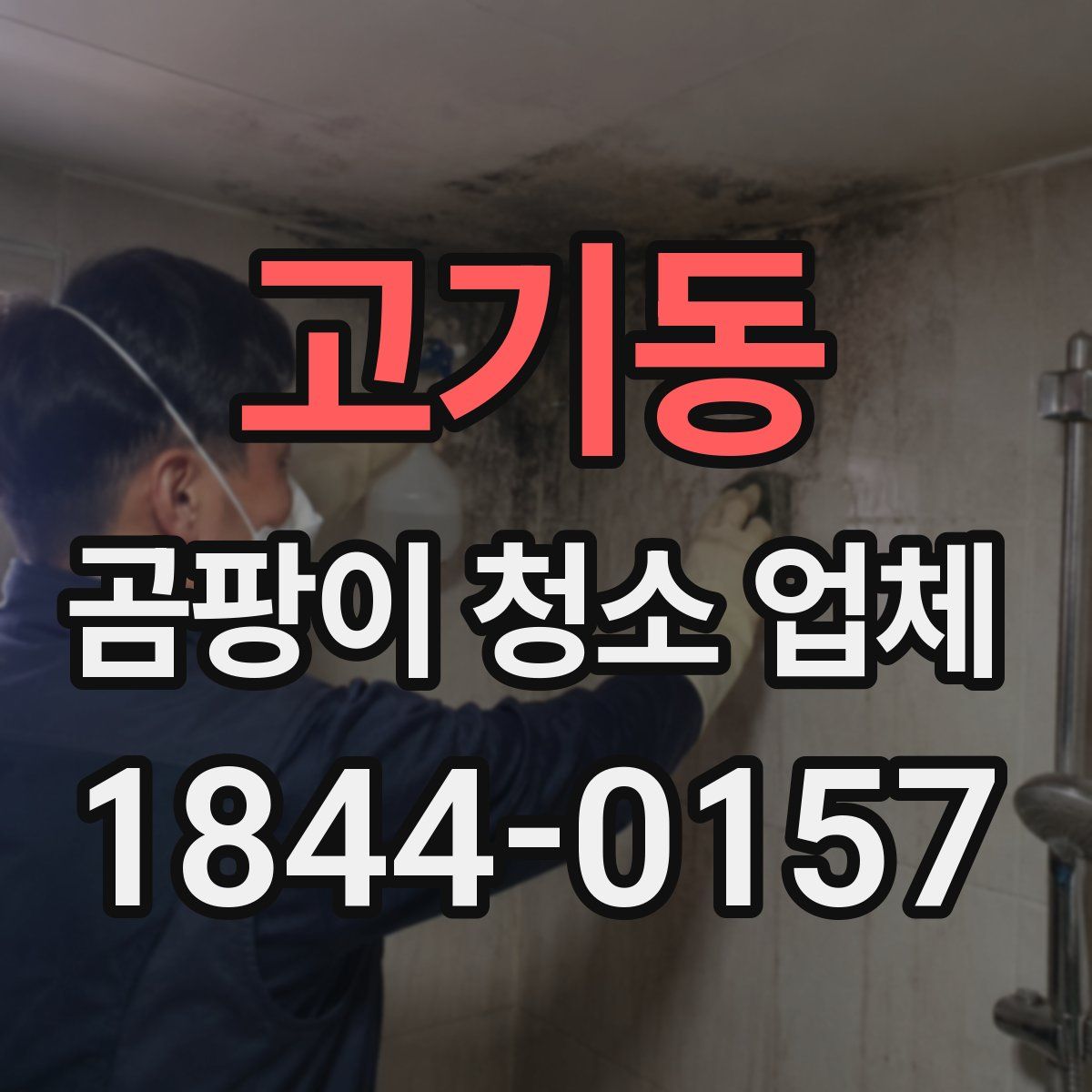 고기동 곰팡이 청소 업체