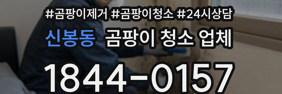 신봉동 곰팡이 청소 업체