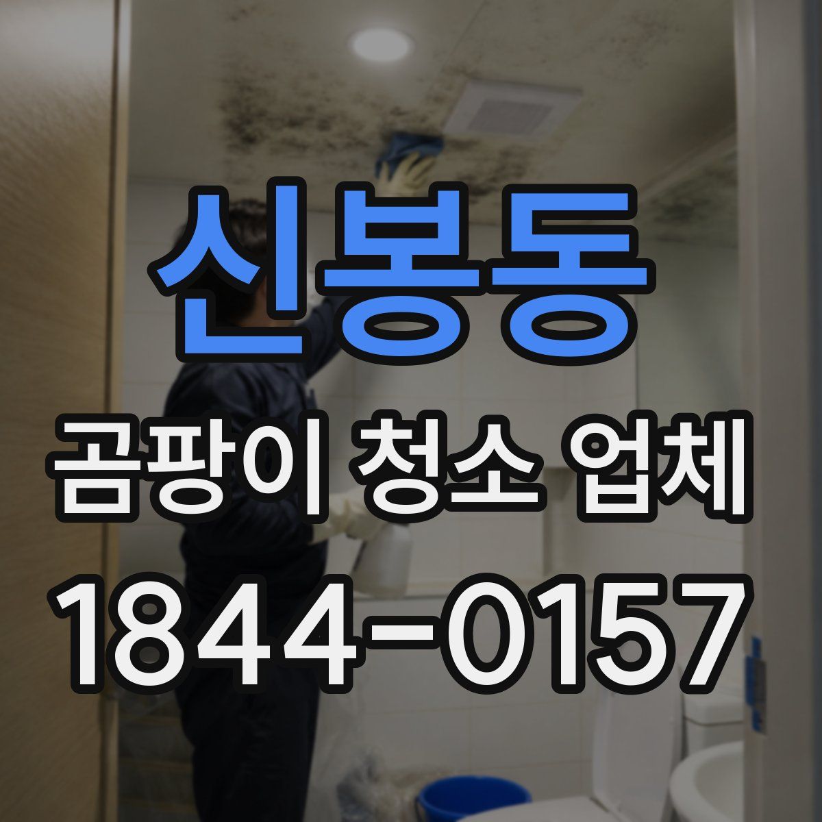 신봉동 곰팡이 청소 업체