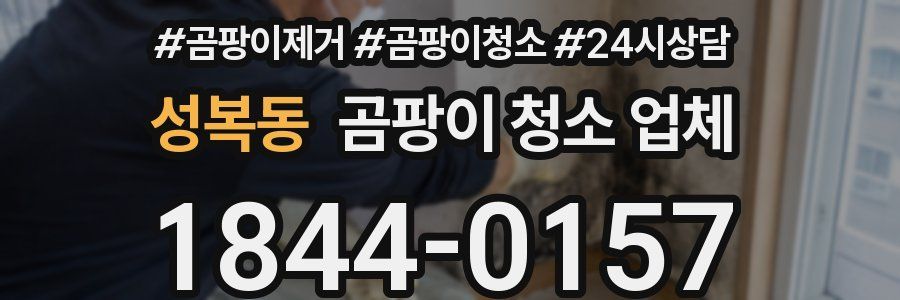 성복동 곰팡이 청소 업체