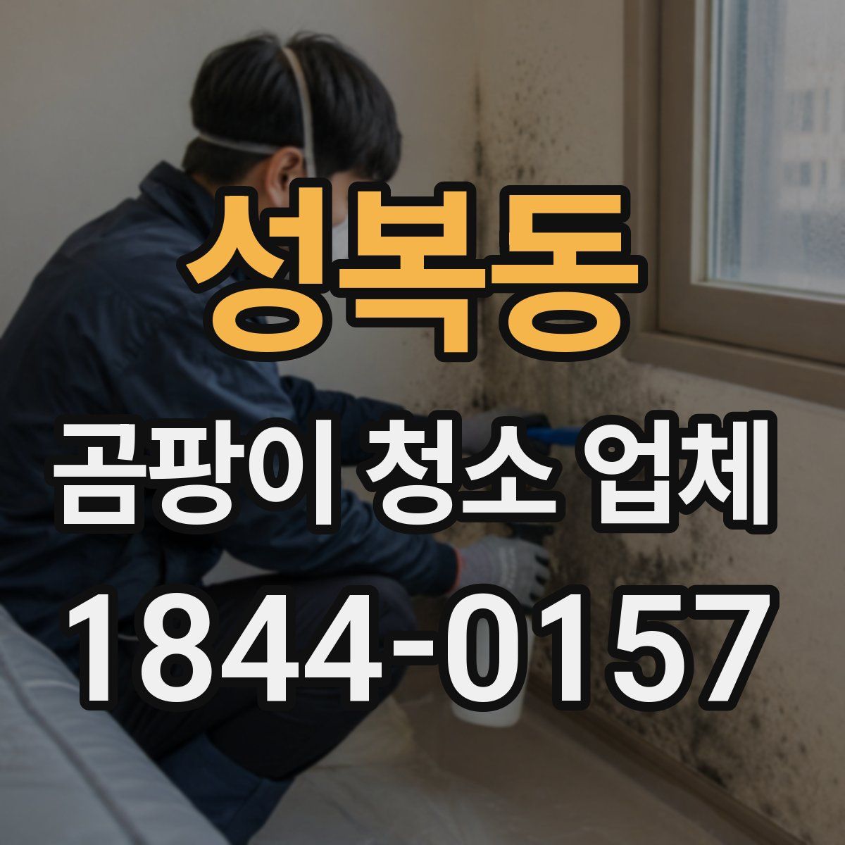 성복동 곰팡이 청소 업체